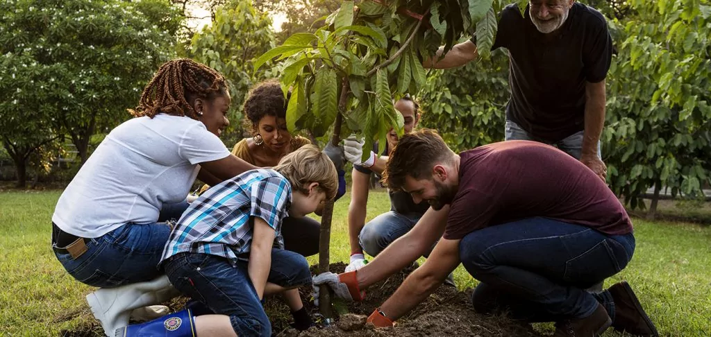 Composting at Work and other ways to engage employees in sustainability