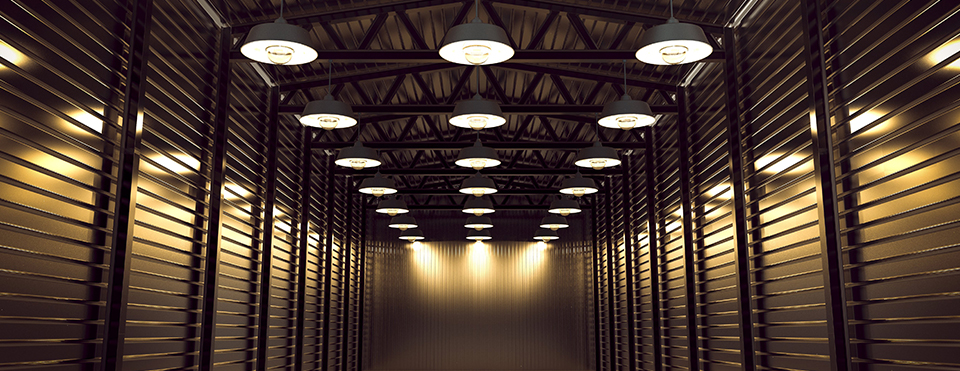 5 Facts About LEDs